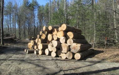 State Logging Moratorium Finally Ends