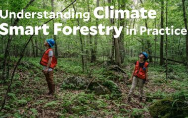 Climate Forestry Practices, BMPs & Forest Health Workshop in Shelburne Falls June 4th